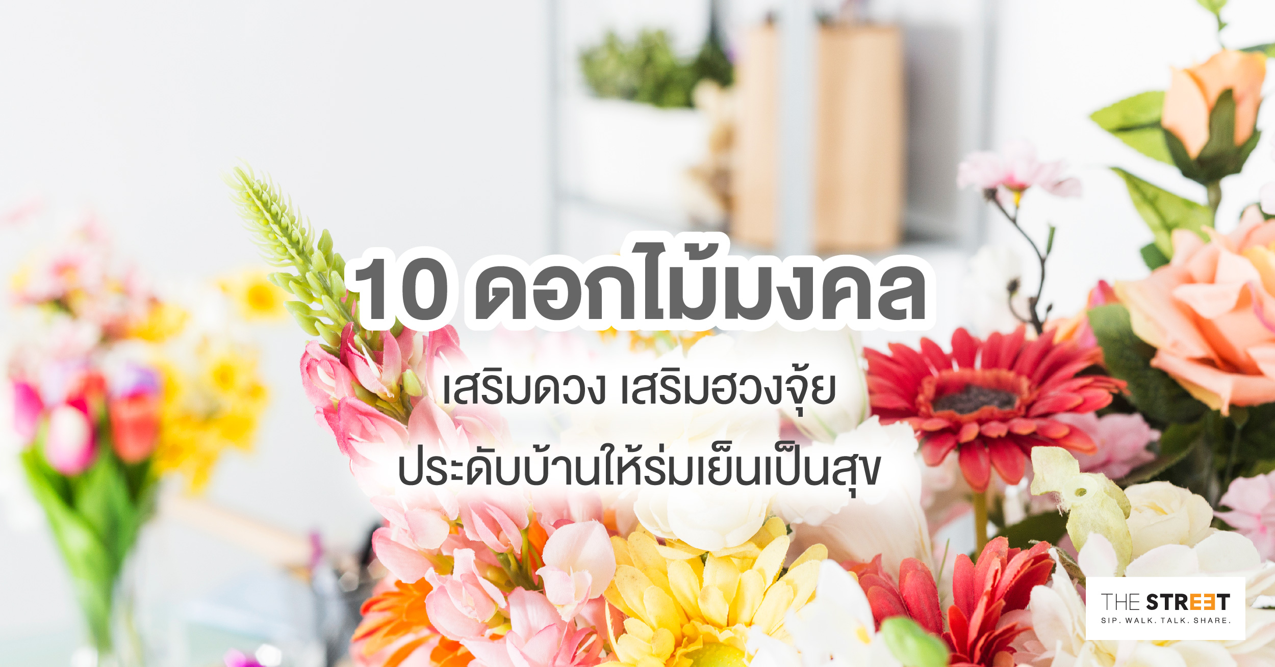 10-ดอกไม้มงคลเสริมดวง-เสริมฮวงจุ้ย-ประดับบ้านให้ร่มเย็นเป็นสุข